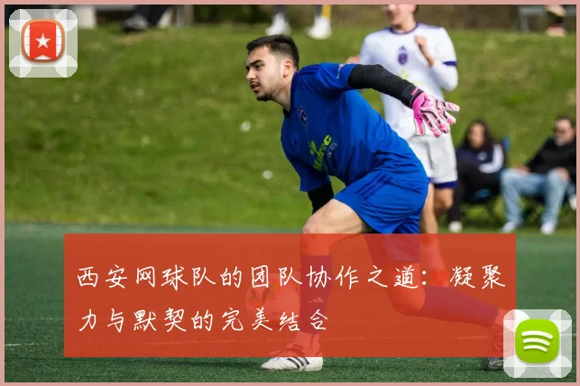 西安网球队的团队协作之道：凝聚力与默契的完美结合