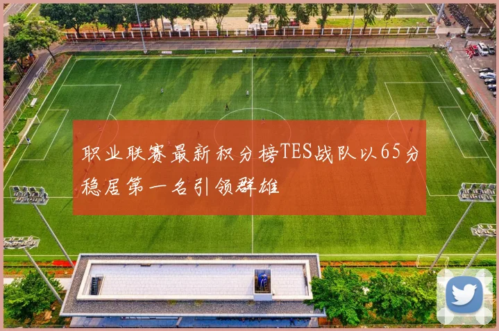职业联赛最新积分榜TES战队以65分稳居第一名引领群雄